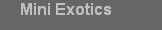 Mini Exotics