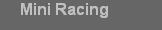 Mini Racing